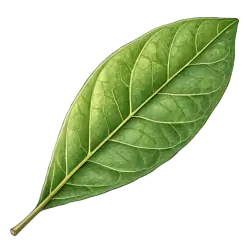 Imagen PNG para descargar